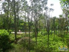 加州新牌坊 北城阳光今典四房