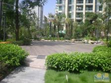 跃层精装可拎包入住 看房需要提前预约