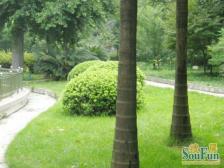 龙溪镇 龙脊花园四房