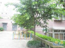 龙溪镇 龙脊花园四房