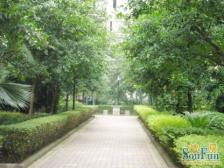 龙溪镇 龙脊花园二房79万