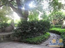 南坪 云满庭B区 居家装修两房 配套成熟