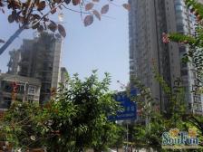 铜元局 帝景名苑三房145万