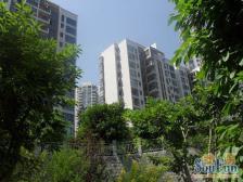 铜元局 帝景名苑四房170万