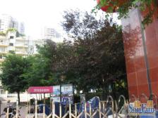 凤天路 凤天花园一房74万