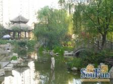 上海城商圈旁 骑龙一期洋房 正规大三房带大阳台