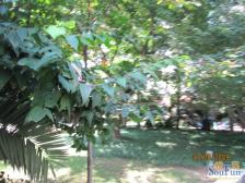 沙正街 电力小区(沙坪坝)二房75万