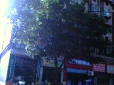 正规二室一厅住家精装修业主诚心出售