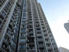 重大环线旁 跨越新天地 正规1室1厅