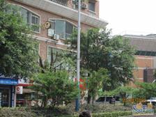 劳动路 同创大厦三房86万