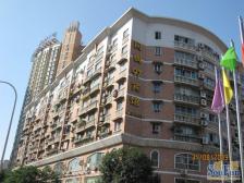 劳动路 同创大厦二房65万