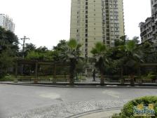 上岛郦舍 2室2厅 南 北