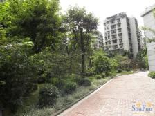 工人村 上岛郦舍三房102万