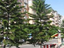 凤天路 升伟朝凤苑二房49万