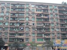 天鑫花园 3室2厅 南