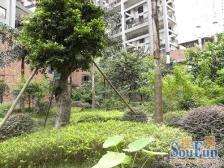 正规两室一厅,领包入住,无抵押,采光好