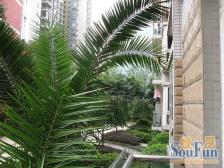 凤天路 缘份庭一房41万