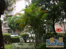 东泰又一居独栋别墅 实用率高 中芯位 诚意售