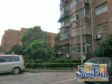 20号线,双阳台,采光好,02年商品房