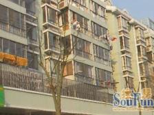川沙·曙光东苑·6室·3厅