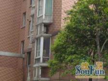 蓝天苑 3室1厅 南 北