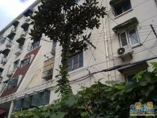 广中一村 2室1厅 南 北