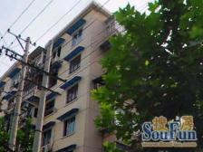 近师专+大境 小户型低总价 精装修可直接出租