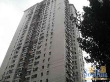 徐家汇地铁站旁 双南电梯二房 无抵押 必看好房