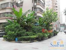 徐家汇地铁站旁 双南电梯二房 无抵押 必看好房