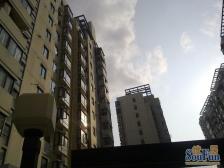 花园城 3室2厅 南