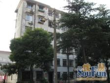 近地,铁 双南的精装修两房一厅 中间楼层 老少皆宜小区带花园