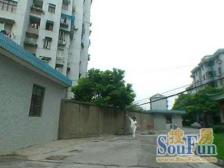 幸福新苑 2室1厅 南