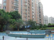 中虹花园丽都苑3室南朝向988.00万元/套出售