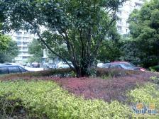 19号线地铁口,一梯2户,南北二房,送产权车位,价格可谈