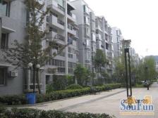 兴龙湖 永川碧桂园翡翠郡四房90万