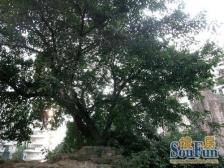 精装带大露台 三层六房 出行方便