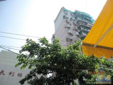 宏城大厦 3室1厅 南