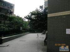 地铁小区次新装修住家安静交通发达