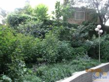 兴宇金粼苑 2室1厅 南