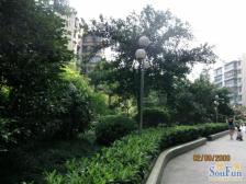 天星桥 兴宇金麟苑二房43万