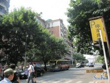 联合花园 3室2厅 东南