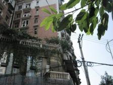 联合花园 3室2厅 东南