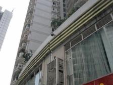 地铁9号线天梨路站300米 三室双卫带个300平米的花园