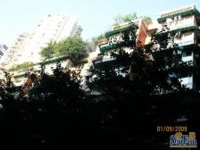 天星桥 世纪花园(沙坪坝)二房61万
