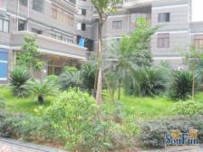 冉家坝 温馨家园三房111万