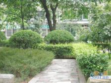 冉家坝 温馨家园三房83万