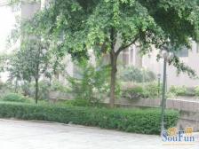 冉家坝 温馨家园三房123.5万