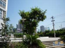 冉家坝 蜂巢一房51万