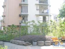 5/6号线大龙山轻轨站旁 电梯洋房一梯两户 主家安静