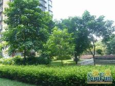 四公里70年产权 溯源阁小区 住家精装三房 诚心出售!